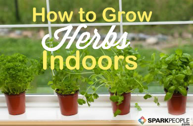 How to Start an Indoor Herb Garden