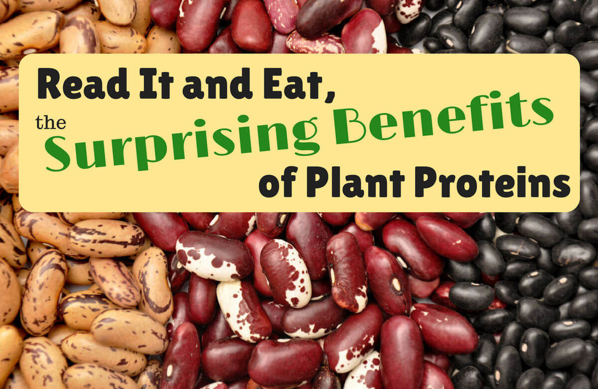 10 Plant Proteins That Can Boost Your Health