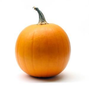 Pumpkin Pie Yogurt