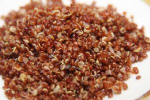 Sexy Summer Red Quinoa Salad