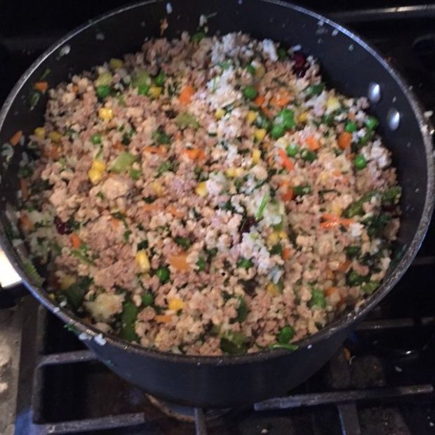 JensPet Food
