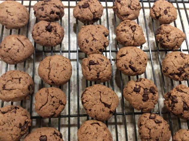 Paleo Low Sugar Chocolate Chip Cookies