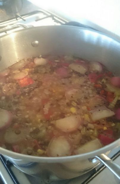 Mexican Style Lentil and Bean Soup