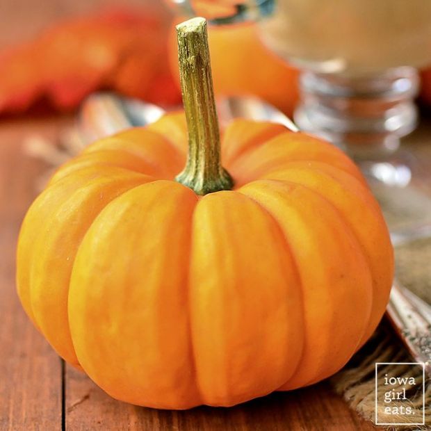 nancy's pumpkin custard