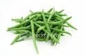 French Green Bean Salad