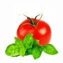 Fresh Basil and Tomato Salad