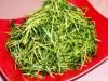 Stir-fried Pea Shoots with Garlic