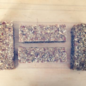 Vanilla-Seed Protein Bar (Vegan/Gluten Free) 