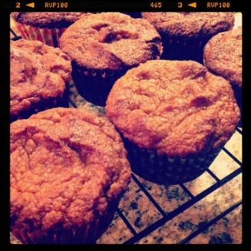 Pumpkin Muffins Gluten Free