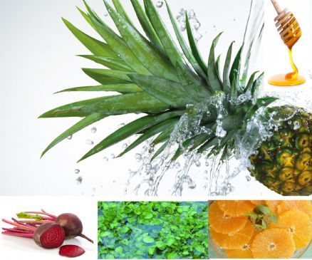 Jugo de Pi�a, Naranja y Betabel para combatir la anemia