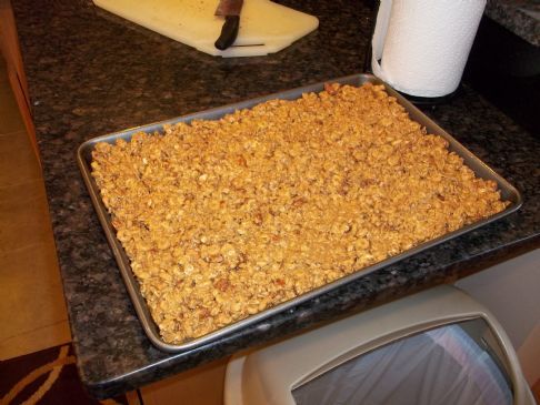 Homemade Peanut Butter Protein Bars