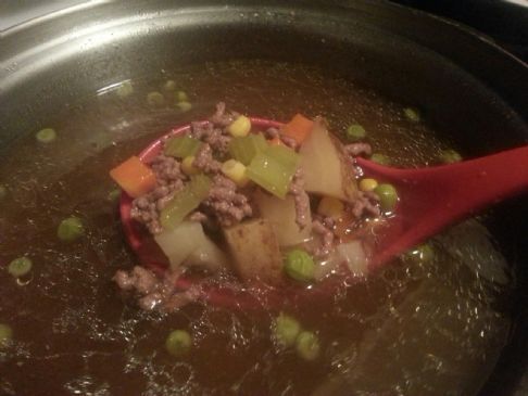Basic Beef Vegetable Soup 