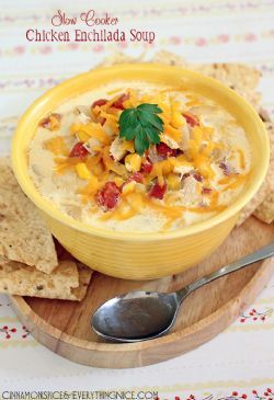 Chicken Enchilada Soup