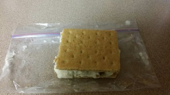 frozen grape nut pudding sandwiches