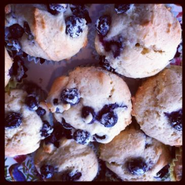 Blueberry Muffins