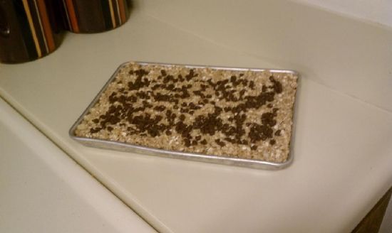 Homemade Granola Bars