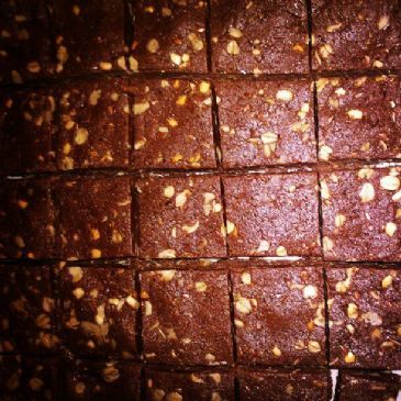 Chewy Chocolate Peanut Butter Protein Bars (No Bake)
