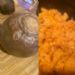 another photo of this recipe