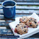 Blueberry Coconut Pecan Breakfast Cookies (GF)