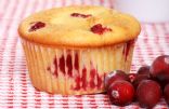 Low Carb Cranberry Muffins