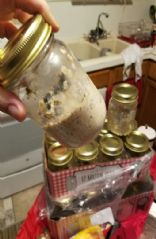 Overnight Blueberry Oats