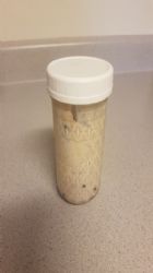 Overnight Oats (Almond Milk)