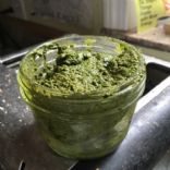 Pesto