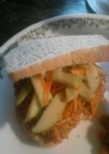 Pulled chicken bbq sandwich with Apple slaw