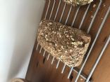 Seeded Whole Grain Bread - No Knead