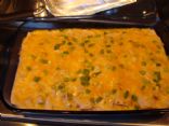 Cheesy Chicken Enchiladas