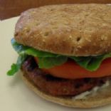 Turkey Garlic & Herb Cheese Burger