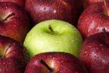Apple sauce