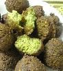  Falafel  Baked