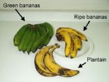 Tropical Plantains