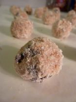 Protein Balls