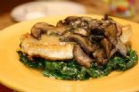 Chicken & Mushroom Sauce