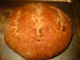 Beginner's Whole Wheat Bread