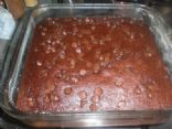 Low Fat Vegan Okara Brownies