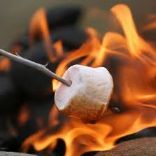 Fluffernutter Smores