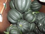 Curried Acorn Squash ~ Microwave 