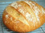 Artisan Bread in 5 Minutes a Day Master Recipe