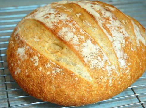 Artisan Bread in 5 Minutes a Day Master Recipe