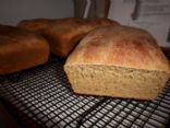 Whole wheat bread