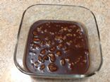 Sugar Free Fudge (low carb)