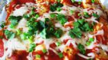 Vegetable Enchiladas with Red Sauce