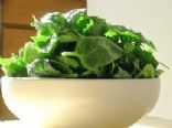 Greens and Sour Cream Egg Bake