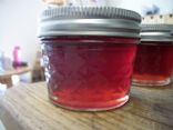 Plum Jelly