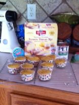 Carnation Lemon bread Kit