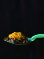 Pumpkin Shepards Pie (The Fresh 20)