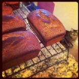 Pumpkin Bread Gluten Free